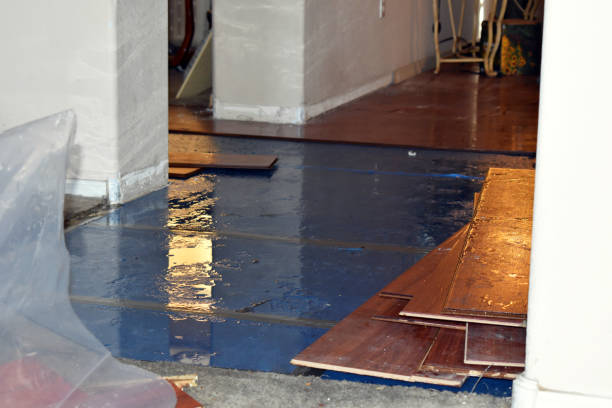 Professional Emergency Water Damage Restoration technician working in Fresno, TX